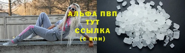 сатива Богданович
