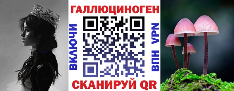 Псилоцибиновые грибы Cubensis  Купить  Кашира 